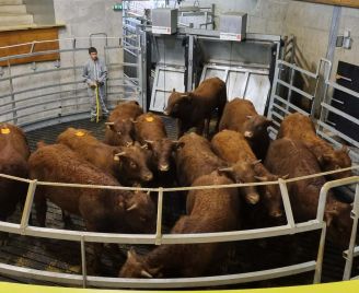 Annonces Marché du 07 Septembre 2026