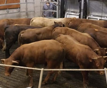 Annonces Marché du 28 Septembre 2026