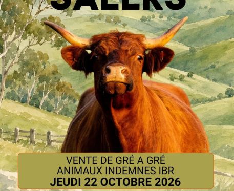 FOIRE DE LA SALERS